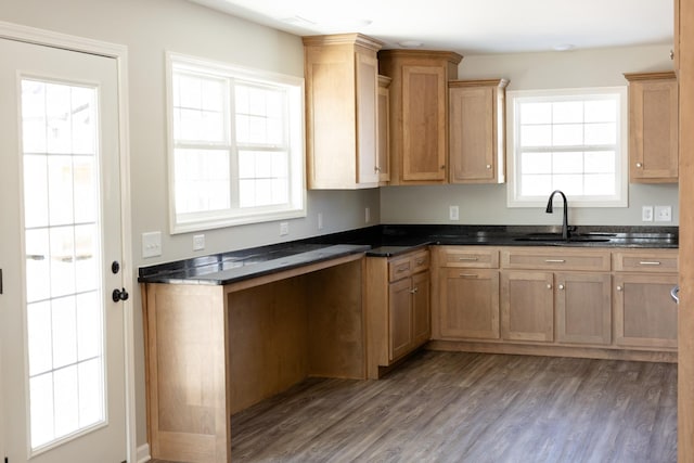 kitchen featuring dark hardwood / wood-style flooring and sink