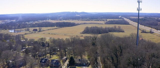 birds eye view of property featuring a mountain view