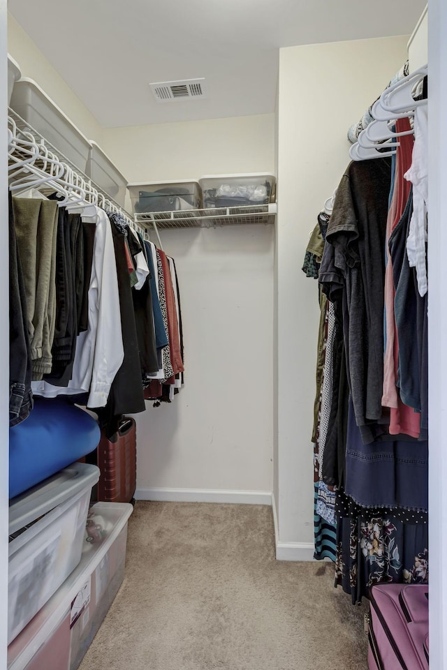 walk in closet with light colored carpet