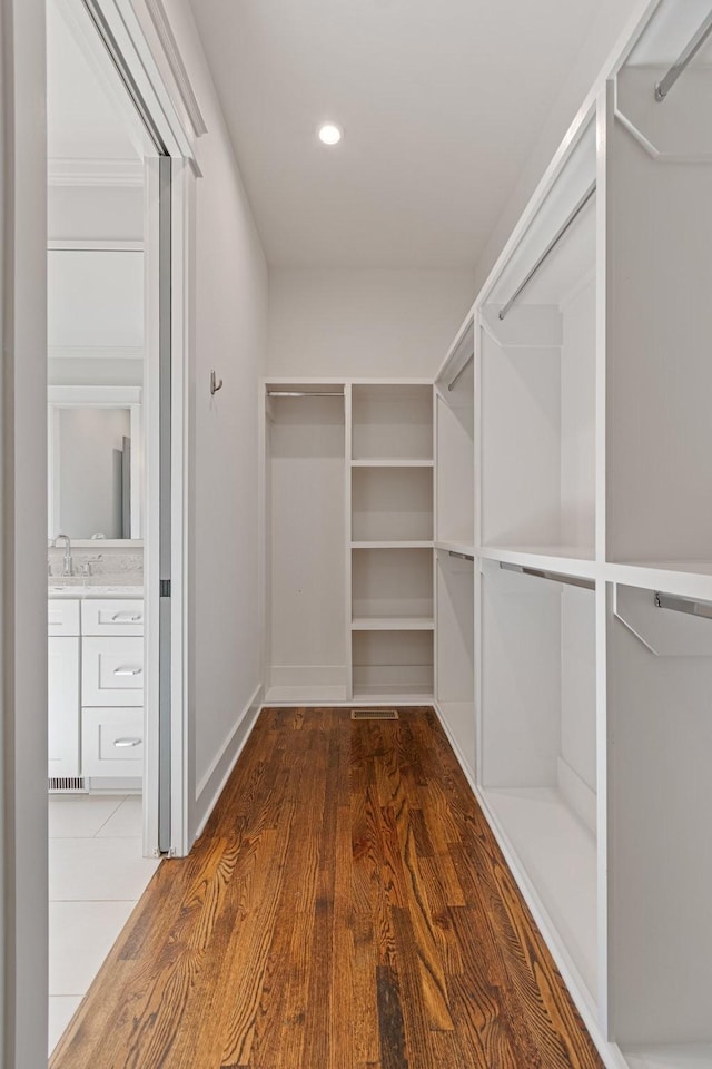 walk in closet with dark hardwood / wood-style floors and sink