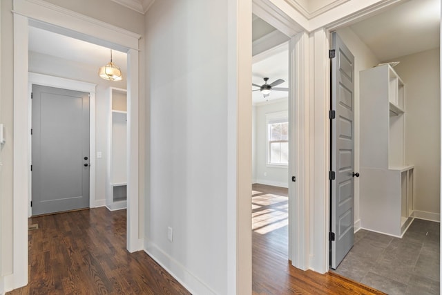 hall with dark hardwood / wood-style floors and crown molding