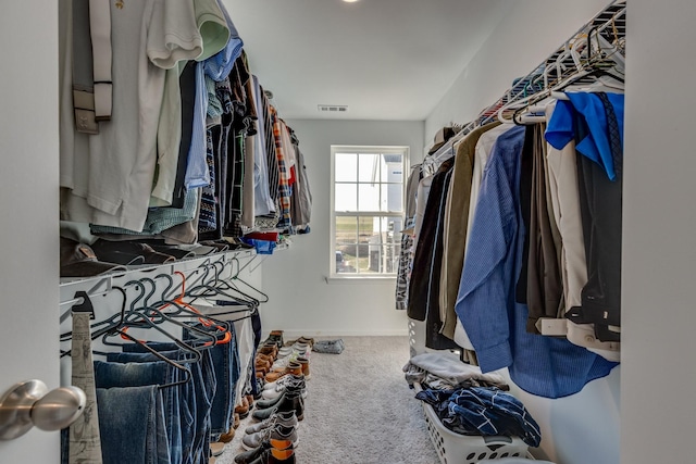 spacious closet featuring carpet flooring