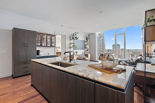 kitchen featuring sink, wood-type flooring, dark brown cabinets, and a center island with sink