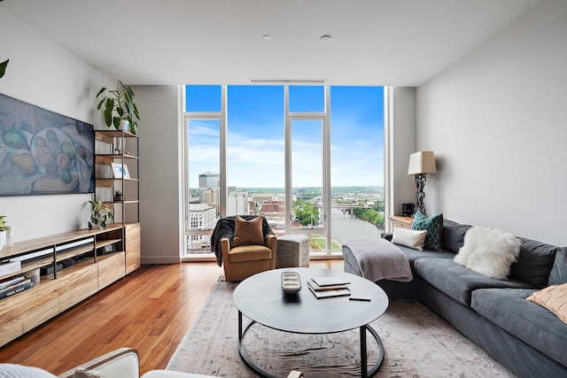 living room with floor to ceiling windows, a wealth of natural light, and light hardwood / wood-style floors