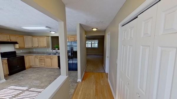 kitchen featuring black appliances, light hardwood / wood-style flooring, sink, and light brown cabinets