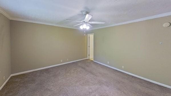 carpeted spare room featuring ornamental molding and ceiling fan