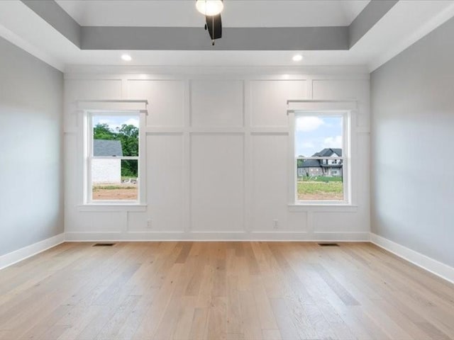 empty room with light wood-type flooring, a wealth of natural light, and a tray ceiling