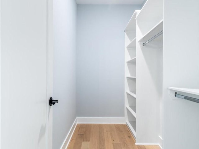 spacious closet featuring light wood-type flooring