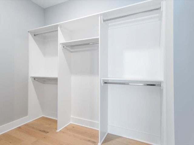 spacious closet featuring wood-type flooring