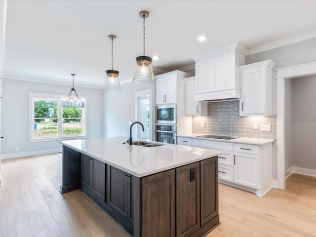 kitchen with white cabinetry, sink, stainless steel appliances, backsplash, and custom exhaust hood