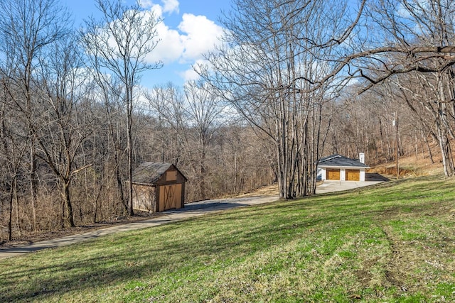 view of yard with a garage and a storage shed