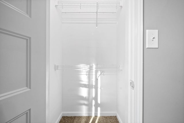 spacious closet featuring carpet flooring