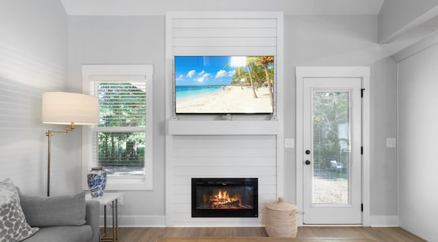 living room featuring a fireplace and hardwood / wood-style flooring