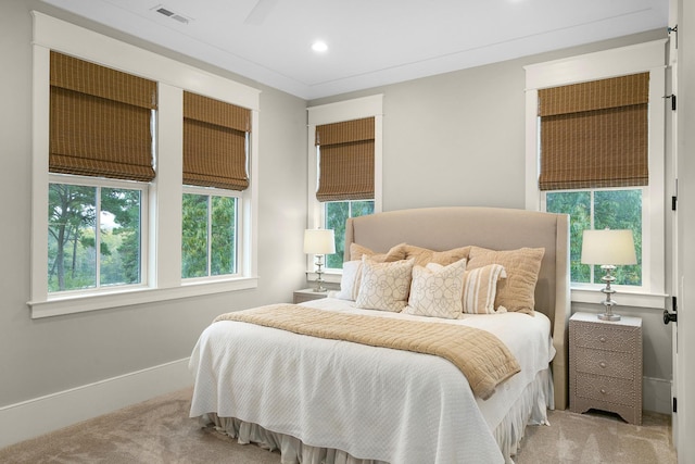 carpeted bedroom with multiple windows