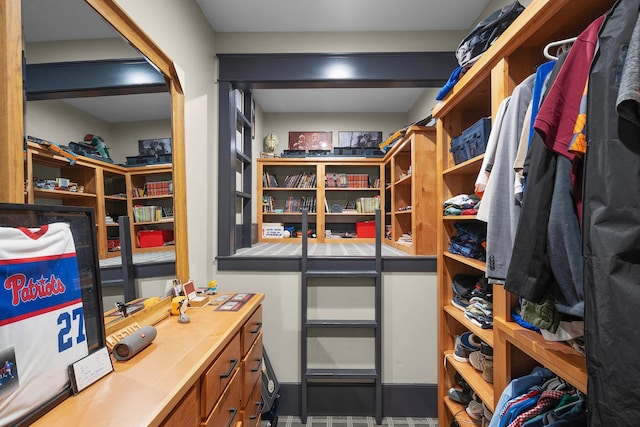 view of spacious closet