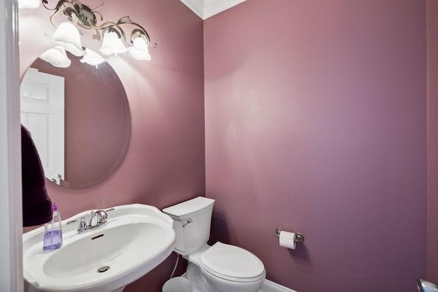 bathroom featuring sink, crown molding, and toilet