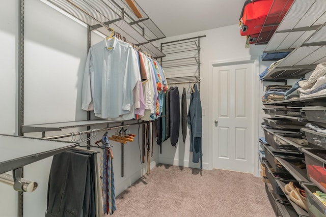 walk in closet featuring light carpet