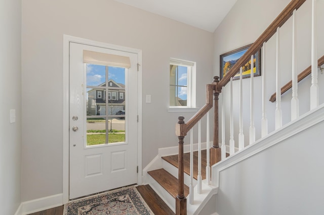 entrance foyer featuring dark hardwood / wood-style flooring and a healthy amount of sunlight