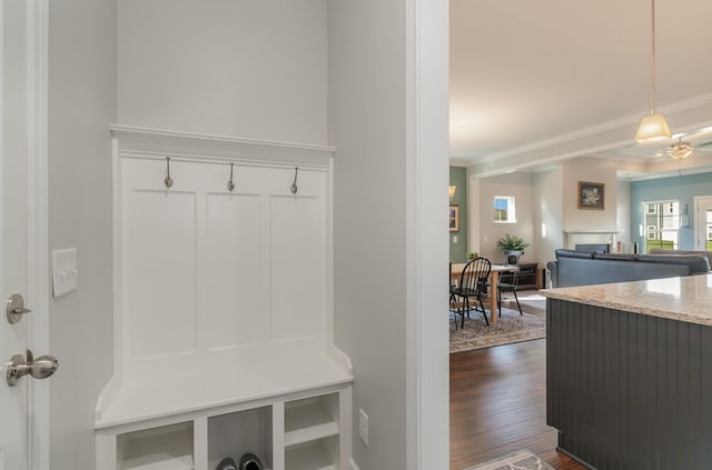 mudroom featuring ceiling fan, dark hardwood / wood-style flooring, and crown molding