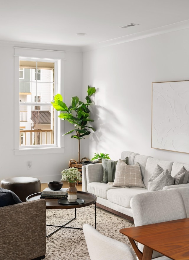 living room with crown molding