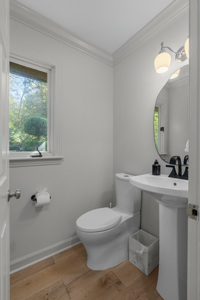 bathroom featuring crown molding, toilet, and wood-type flooring