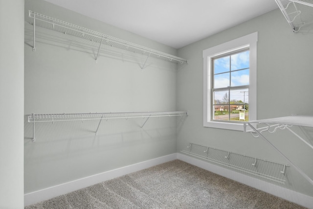 1072 Cherry Blossom Ln, Clarksville, TN 37040 - photo 23