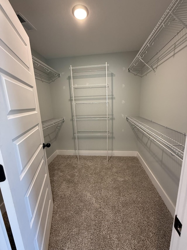 walk in closet with carpet flooring