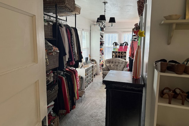 spacious closet featuring an inviting chandelier and light carpet