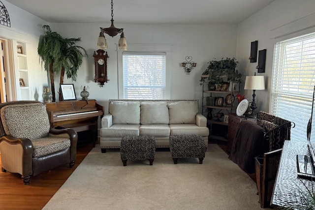 living room with wood-type flooring