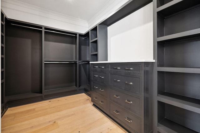 spacious closet featuring light hardwood / wood-style flooring