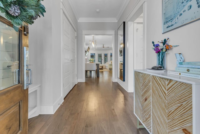 hallway with crown molding and dark hardwood / wood-style floors