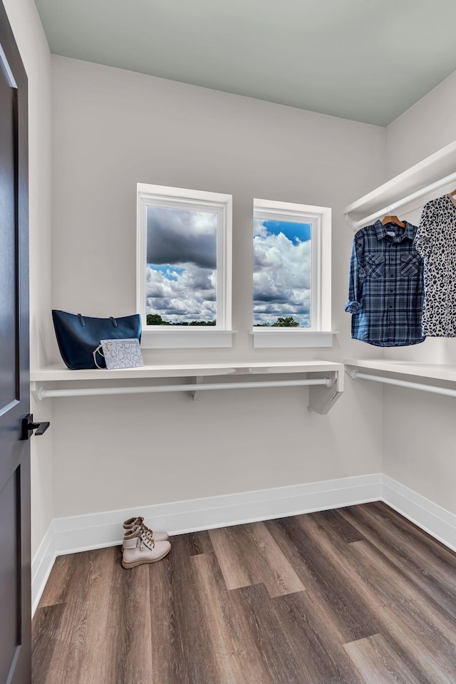 walk in closet with wood-type flooring