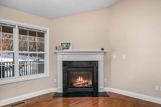 room details with a fireplace and hardwood / wood-style flooring