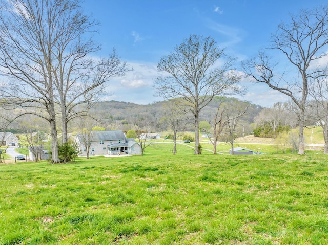 view of yard with a mountain view