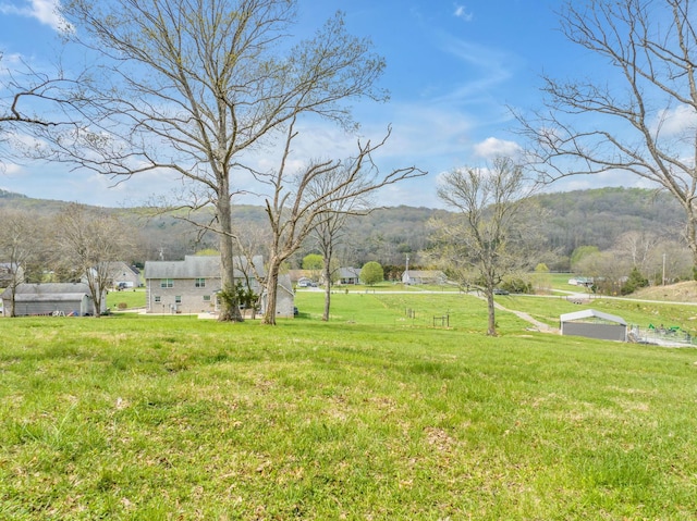 view of yard featuring a rural view and a mountain view