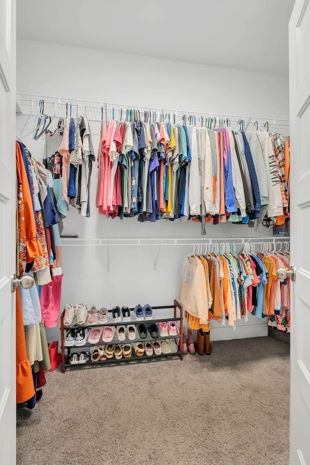 view of spacious closet