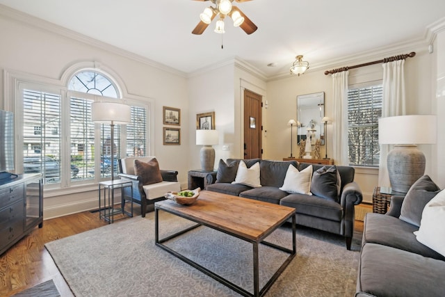 living room with ceiling fan, ornamental molding, and hardwood / wood-style floors