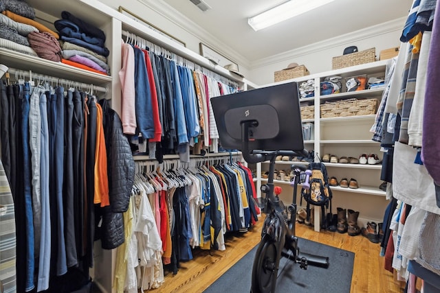 walk in closet with wood-type flooring