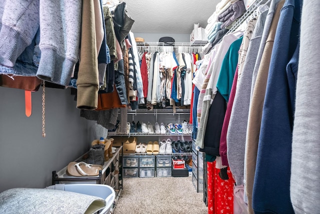 spacious closet featuring carpet