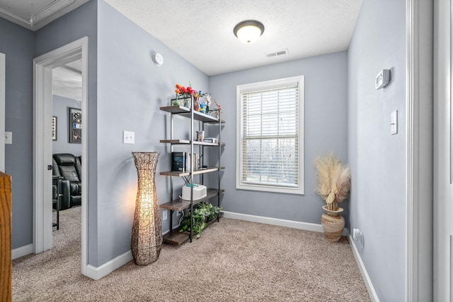 miscellaneous room featuring a textured ceiling and light colored carpet