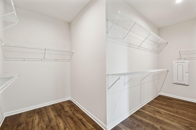 walk in closet featuring electric panel and dark wood-type flooring