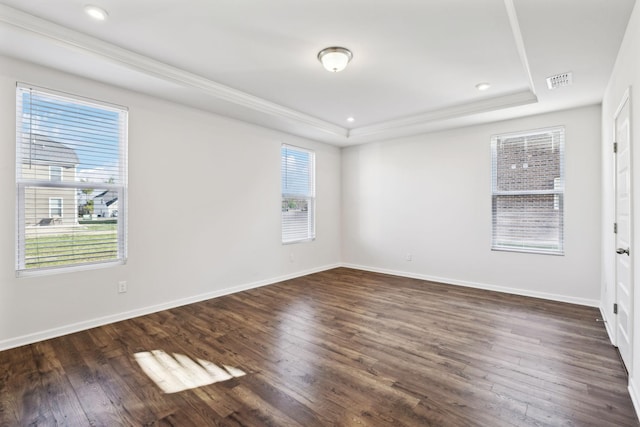 empty room featuring dark wood-type flooring, a wealth of natural light, and a tray ceiling