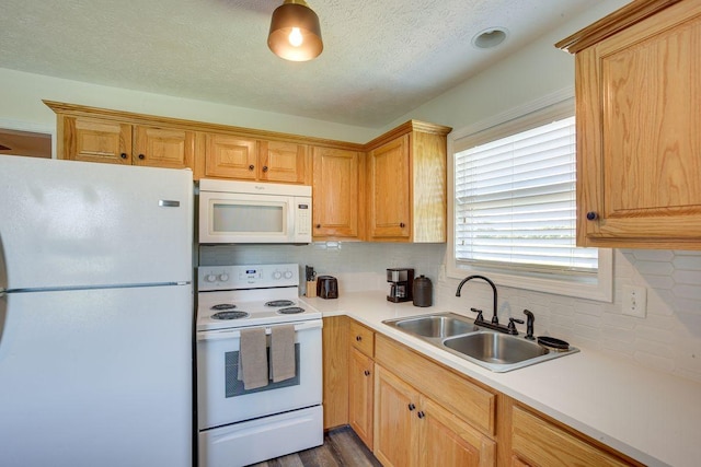 kitchen featuring decorative backsplash, dark hardwood / wood-style floors, sink, and white appliances