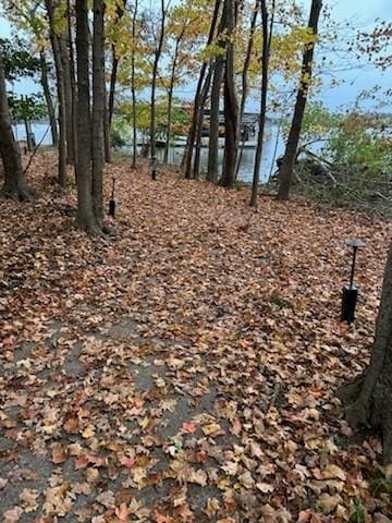 view of yard with a water view