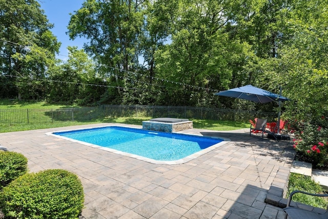 view of swimming pool with a patio and a jacuzzi