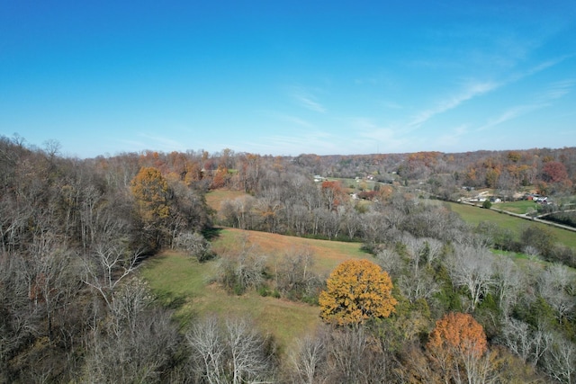 Listing photo 3 for 3 Fly Rd, Santa Fe TN 38482