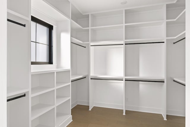 walk in closet featuring wood-type flooring