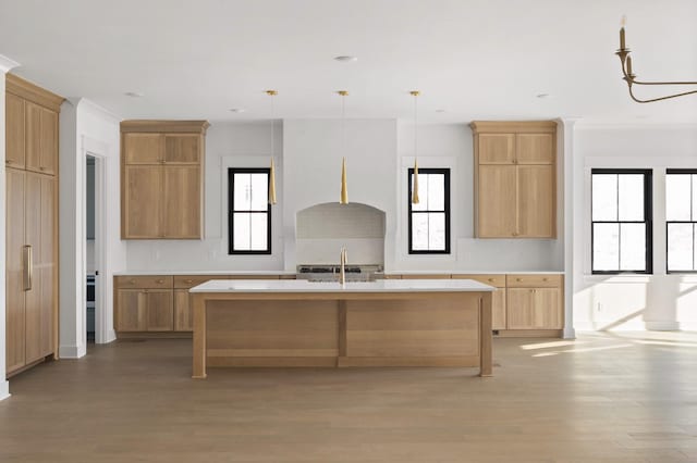 kitchen featuring a chandelier, pendant lighting, light hardwood / wood-style floors, a kitchen island with sink, and sink