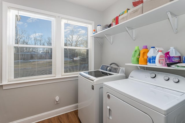 laundry area featuring separate washer and dryer and dark hardwood / wood-style flooring