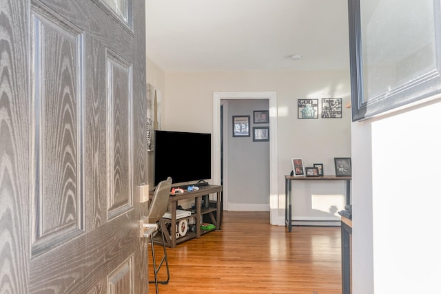 entryway featuring light wood-type flooring